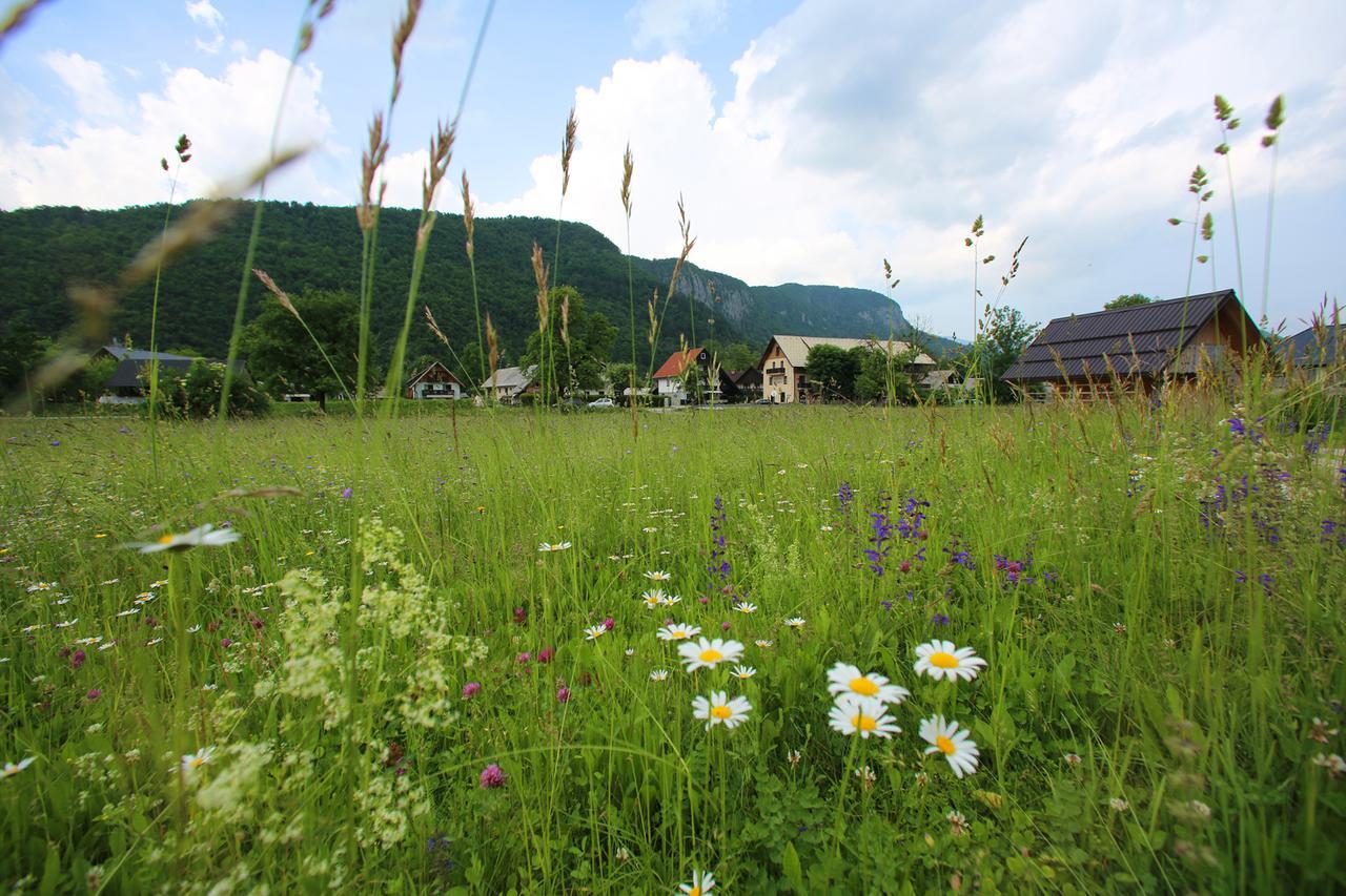 Hisa Pr'Pristavc Hotel Bohinj Luaran gambar